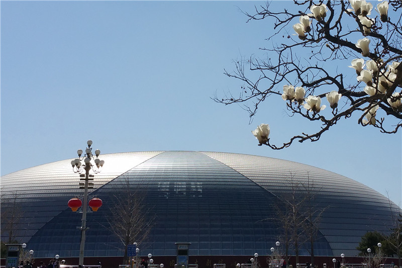 春到京城