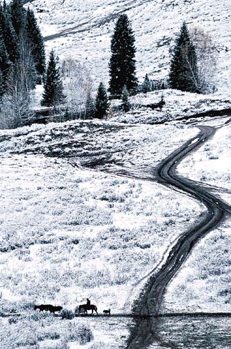 雪野路弯弯