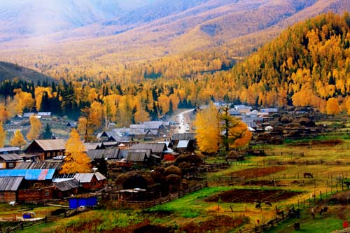 新疆的秋