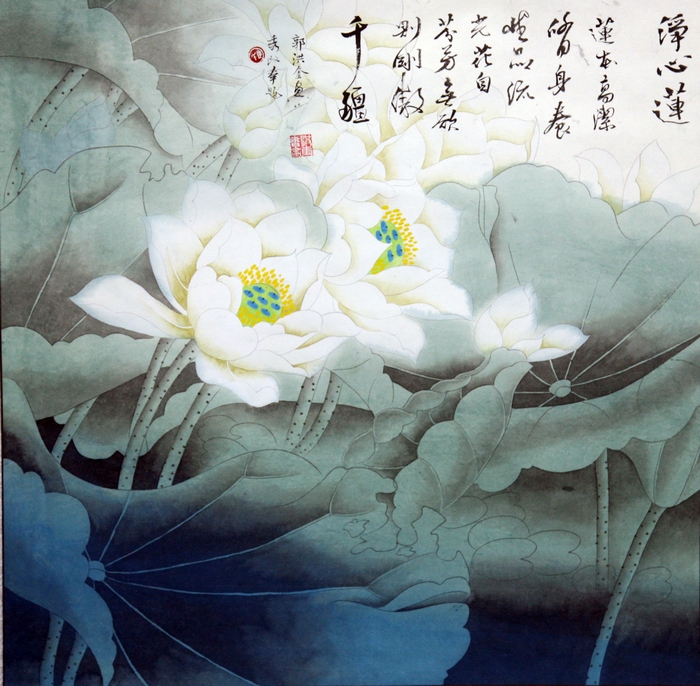 净心莲
